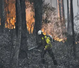  ??  ?? CONTROLLED BURNS: Rural Fire Service volunteers, National Parks and Wildlife Service staff and Queensland Rural Bushfire Brigade volunteers back burning.