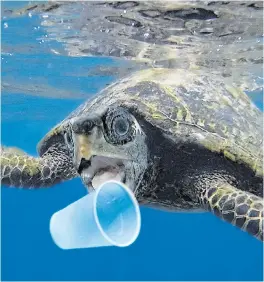  ??  ?? A quarter of plastic in the sea ‘leaks from waste management sites’