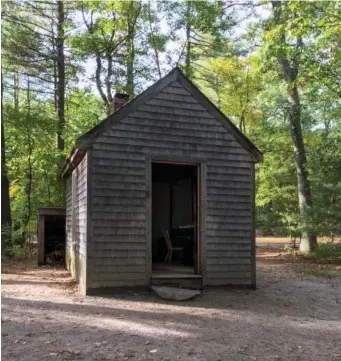  ??  ?? IN THE WOODS: Though Henry David Thoreau’s original cabin is long gone, a replica of the tiny home where the writer lived for two years stands at Walden Pond in Concord.