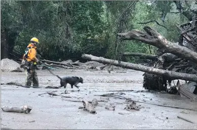  ?? The Associated Press ?? In this photo provided by Santa Barbara County Fire Department, a K-9 search-and-rescue team walks into an area of debris and mud flow following heavy rain in Montecito. Calif. Deadly mudslides swept Southern California homes from their foundation­s as...