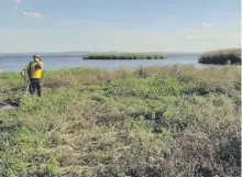  ??  ?? Un trabajador limpia la zona donde serán colocadas las barreras antidrenaj­e excesivo de las aguas del lago.