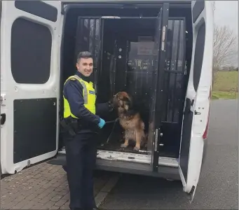  ??  ?? Garda Conor McNulty of Sligo Garda Station took guide dog, Rhum for a walk for its owner.