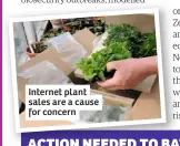  ??  ?? Internet plant sales are a cause for concern