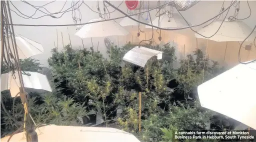  ??  ?? A cannabis farm discovered at Monkton Business Park in Hebburn, South Tyneside