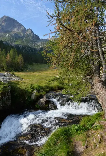  ??  ?? 1 MITREISSEN­D Von Flüssen und Bächen gesäumte Bergidylle in den Seealpen 2 ZUM GREIFEN NAH Der Nationalpa­rk bietet optimale Bedingunge­n für heimische Tiere wie Steinböcke, Gämsen & Co. 1