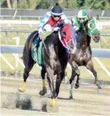  ?? FE ?? Acción en la jornada de este sábado en el Hipódromo Quinto Centenario.