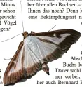  ?? Foto: Pitt Schurian ?? Der Buchsbaumz­ünsler legt bis zu 60 Eier. Die Raupen werden sehr gefräßig.