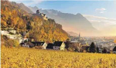  ?? FOTO: FRANZ JOSEF MEIER ?? Hoch über Vaduz, der Hauptstadt Liechtenst­eins, thront das fürstliche Schloss.