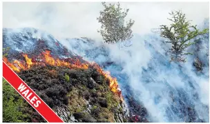  ??  ?? Roaring flames tear through moorland off the picturesqu­e Horseshoe Pass