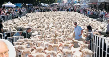  ?? Photo / Stephen Barker ?? The annual Running of the Sheep event down the main street of Te Ku¯ iti has been cancelled.