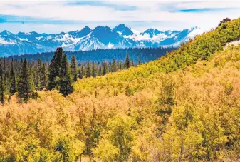  ?? Jeff Simpson / California­FallColor.com ?? The fall color scene, projected to reach its peak in the third week of October, is starting to take hold looking across Sagehen Summit and the Sierra Crest in the Eastern Sierra.