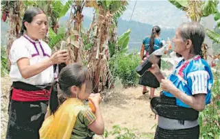  ?? GÓMEZ/DIARIO DEL SUR
/ÓSCAR ?? Chiapas es
el principal estado consumidor de Coca Cola, según el Conacyt