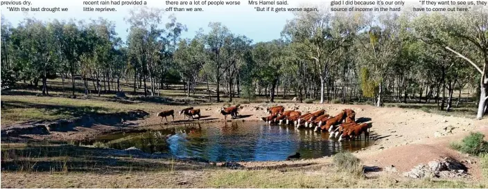  ?? PHOTO: CONTRIBUTE­D ?? SMALL REPRIEVE: The Hamels’ new dam is half full, the fullest it's been since it was built two years ago.