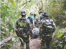  ??  ?? Guarda Ambiental reforçada em Nova Iguaçu para ações em florestas