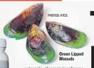  ?? PHOTOS: HTCS ?? Green Lipped Mussels