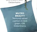  ??  ?? MUTED BEAUTY Textured velvet cushion in dark green, £18, Debenhams