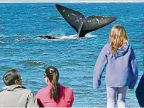  ?? EFE ?? Las rutas llevan a los viajeros por la biodiversi­dad del país.