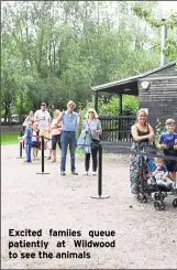  ??  ?? Excited famiies queue patiently at Wildwood to see the animals