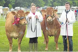  ??  ?? Far left: Finlay Thomson from Montrose got up close to the hounds at last year’s show. Left: 2016 Limousine and Cattle Interbreed Champion Goldies Inchantres­s with Aileen Ritchie, and reserve champion Tamala Aileen with Andrew Adam.