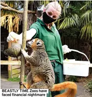  ??  ?? BEASTLY TIME Zoos have faced financial nightmare