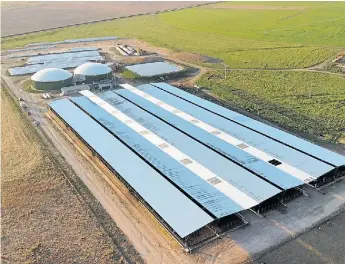  ?? ?? Bioeconomí­a. La integració­n del feedlot y los biodigesto­res cierra un círculo virtuoso.