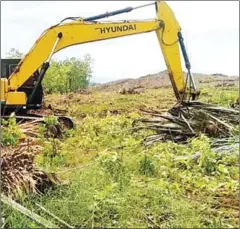  ?? WILDLIFE ALLIANCE CAMBODIA ?? The released suspects said they were just hired to operate tractors.