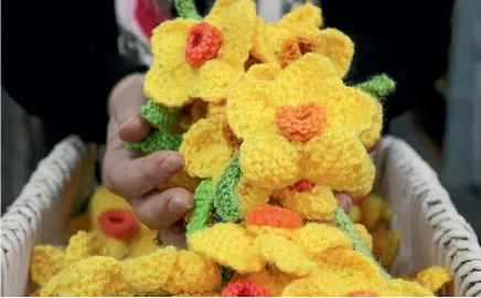  ??  ?? Fabric Daffodils have been knitted to help fundraise for Daffodil Day.