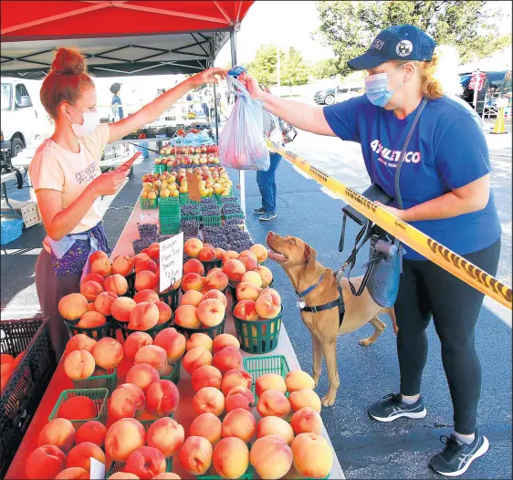  ?? JOHN SMIERCIAK/POST-TRIBUNE PHOTOS ?? Abby Vandermole­n, left, of Church Hill Orchard, hands a bag of fruit to Laura Okerstrom and Axle of Scherervil­le at the St. John farmers market.