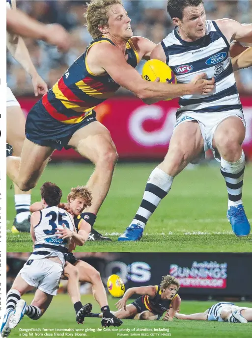  ?? Pictures: SARAH REED, GETTY IMAGES ?? Dangerfiel­d’s former teammates were giving the Cats star plenty of attention, including a big hit from close friend Rory Sloane.