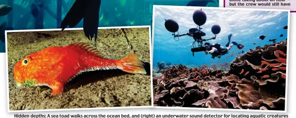  ??  ?? Hidden depths: A sea toad walks across the ocean bed, and (right) an underwater sound detector for locating aquatic creatures