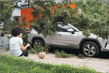  ?? SPENCER PLATT/GETTY ?? Trees downed by Tropical Storm Isaias block a road Tuesday in the Brooklyn borough of New York City.
