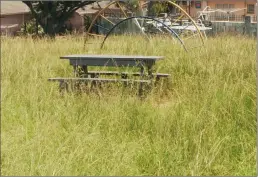  ??  ?? Kevin Naidoo complained that parks in Phoenix were not being maintained. Pictured is the overgrown grass and old equipment in Longbury Drive.