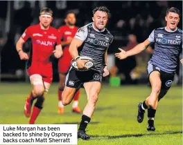  ??  ?? Luke Morgan has been backed to shine by Ospreys backs coach Matt Sherratt