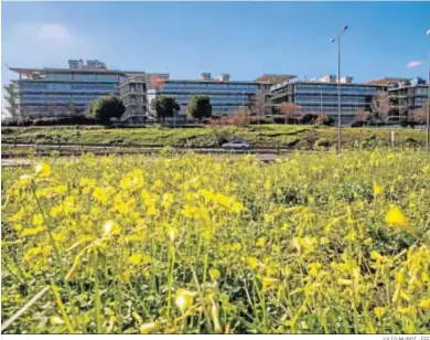  ?? JULIO MUÑOZ · EFE ?? Sede de Abengoa, en el Campus de Palmas Altas, en Sevilla.