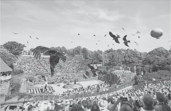  ?? POU DU FUY THEME PARK ?? At historical French theme park Puy du Fou, the facility’s falconer, normally responsibl­e for raptor shows like the one pictured above, hit on the idea of training crow-like birds to pick up litter.