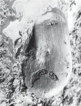  ?? RICK KNECHT/UNIVERSITY OF ABERDEEN ?? A Yup’ik mask is seen embedded in the Alaskan permafrost. Climate change reveals long-frozen artifacts, but also causes them to decay rapidly.