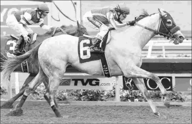  ?? BENOIT & ASSOCIATES ?? Cupid enters the Grade 1 Awesome Again off a win in the Harry F. Brubaker Stakes on Aug. 23.