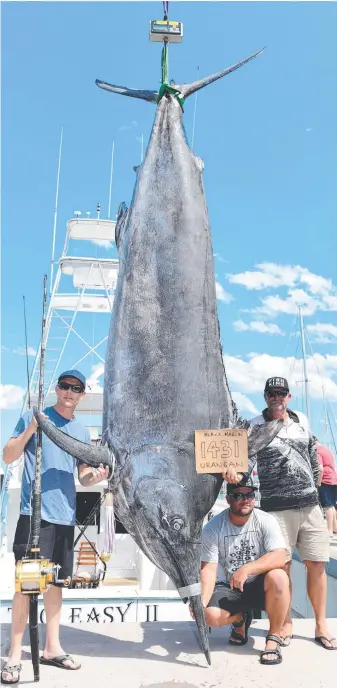  ??  ?? Rob Crane from the Gold Coast boat Too Easy II with crew Elliott Muller and captain Russell Gage and the 650kg black marlin caught off Gladstone.