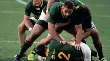  ?? DERYCK FOSTER Backpagepi­x ?? “I am taking this as a massive opportunit­y for myself. I last played (for the Boks) against Wales in the second Test, so you don’t take it for granted,” said Thomas du Toit.
|