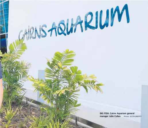  ??  ?? BIG FISH: Cairns Aquarium general manager Julie Cullen. Picture: JUSTIN BRIERTY