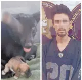  ?? ?? l Jonathan y/o Jhonatan “N” fue sentenciad­o por maltrato animal tras agredir a “Negrita”.