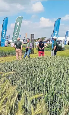  ??  ?? GOOD CROP: Attendees at the Cereals 2021 event.