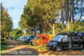  ?? ?? WildAx vans pitched up in the sun at Overbrook Caravan Park ©Felicity Martin