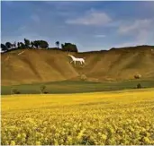  ??  ?? Pictured Below: Cherhill White Horse, and The River Thames at Marlow