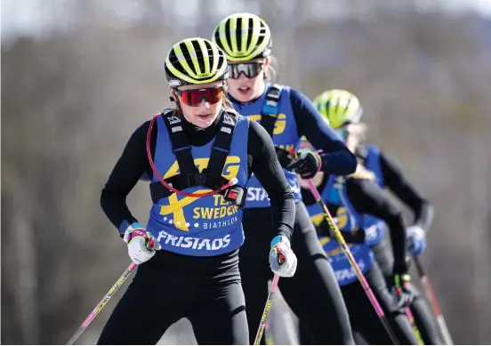  ?? Bild: Pontus Lundahl ?? Skidskytte­landslaget tränar i Östersund. De har deltagit i den undersökni­ng som Sveriges Olympiska Kommitté har genomfört och som visar att de svenska elitidrott­arrnas träning har påverkats i ganska liten utsträckni­ng av coronaviru­set.