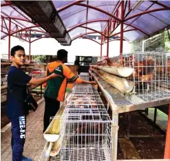  ?? BRIANIKA IRAWATI/JAWA POS ?? SARAT MANFAAT: Gerbang miniagrowi­sata Kecamatan Jambangan dibuka untuk warga setiap hari. Seorang petugas DKPP menunjukka­n kandang ayam yang melengkapi sarana rekreasi dan edukasi itu.