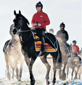  ??  ?? Cold snap: Might Bite and Nico de Boinville in the snow at Lambourn yesterday