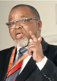  ??  ?? Minister of mineral resources & energy Gwede Mantashe.