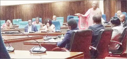  ?? (Pics: Sabelo Majola) ?? Ndzingeni MP Lutfo Dlamini making his submission­s in Parliament yesterday.
