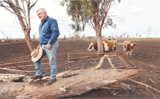  ?? ?? CHANGE ON TRACK: Millmerran Rail Group spokesman Wes Judd, pictured on his farm in Millmerran, wants to see the Inland Rail route reviewed.